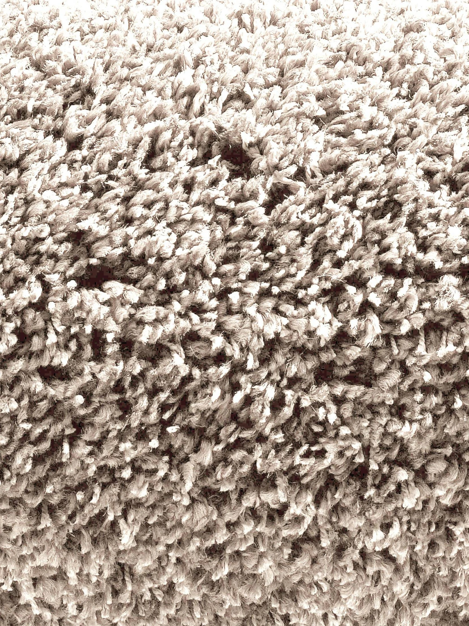 Langflor-Teppichboden, Beige 6 Langflor-Teppichboden, Beige – Bild 4