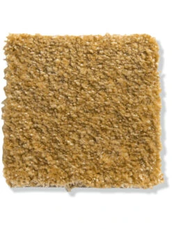 Velours-Teppichboden, Safran 54 5 Velours-Teppichboden, Safran 54 -Heimtextildekoration Atlantis Veloursteppichboden gelb safran54 lup