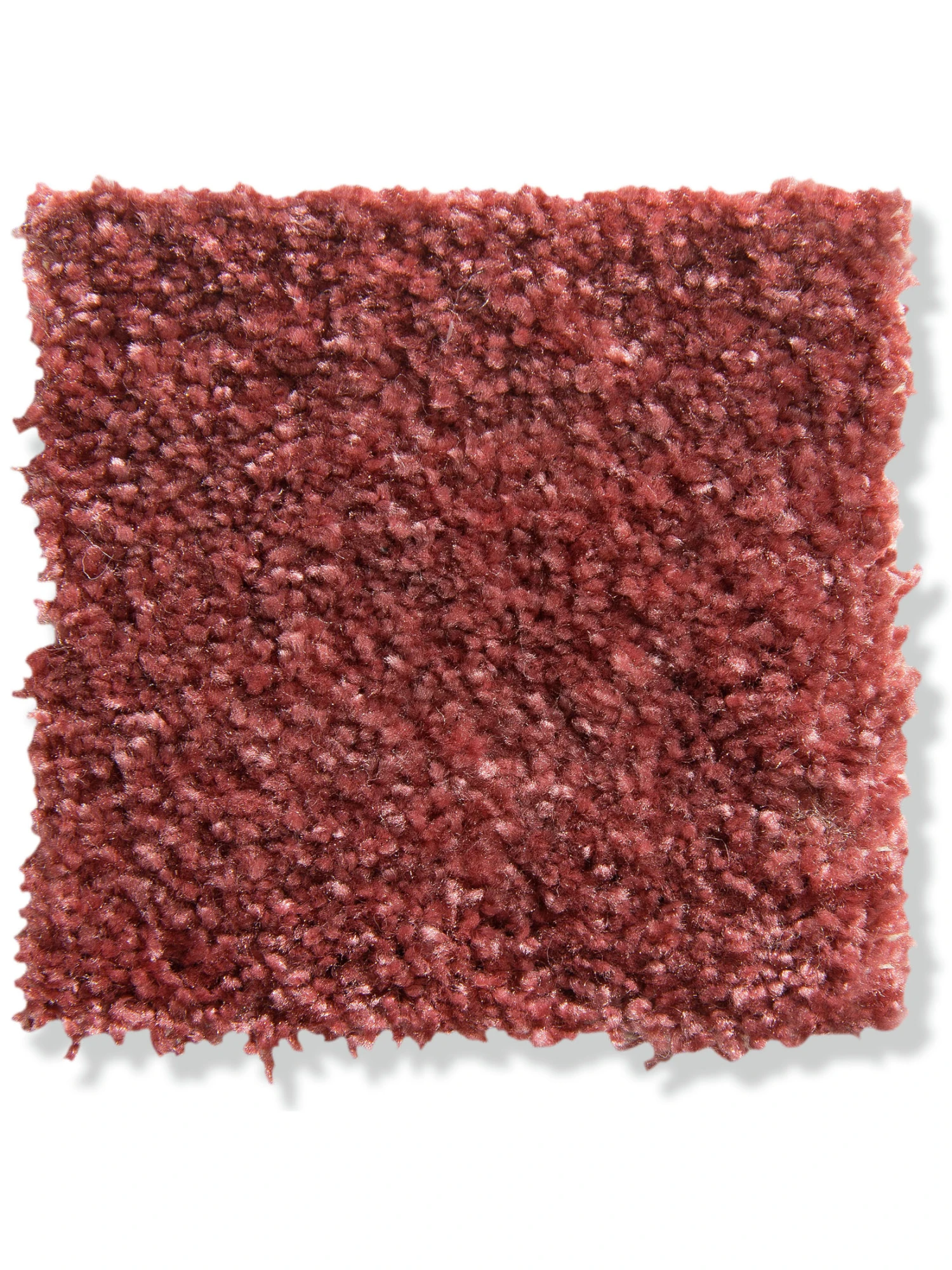 Velours-Teppichboden, Koralle 14 4 Velours-Teppichboden, Koralle 14 – Bild 2