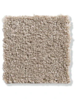 Velours-Teppichboden, Karamell 174 6 Velours-Teppichboden, Karamell 174 -Heimtextildekoration Balance Veloursteppichboden beige karamell174 lup2