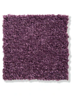 Velours-Teppichboden, Lavendel 115 8 Velours-Teppichboden, Lavendel 115 -Heimtextildekoration Balance Veloursteppichboden lila lavendel115 lup2