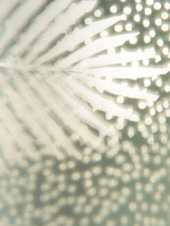 Teelichthalter, Hellgrün -Heimtextildekoration BlaetterLightUp Teelichthalter Hellgruen 12x12x18 lup2