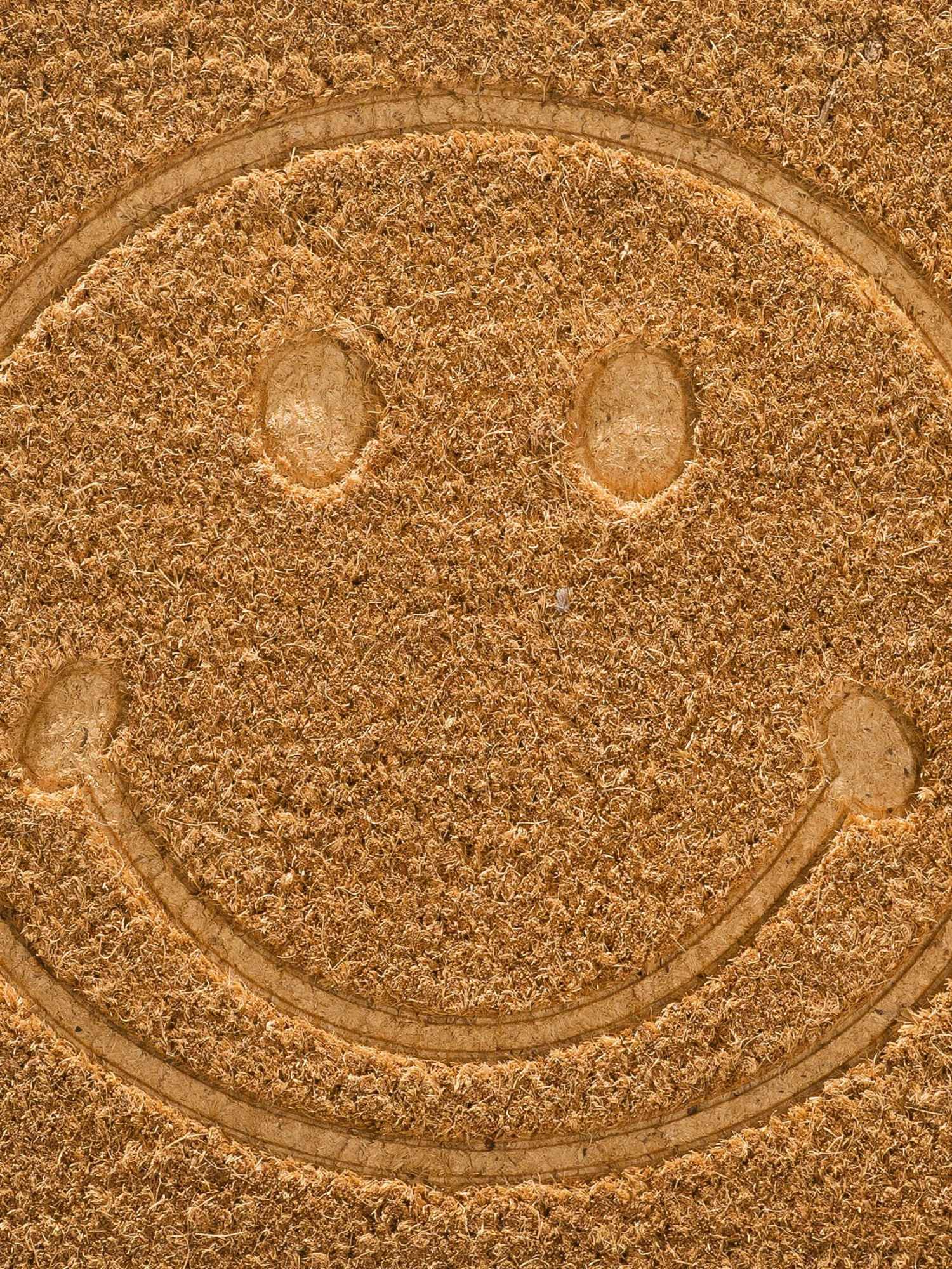 Fußmatte, Beige 6 Fußmatte, Beige – Bild 4