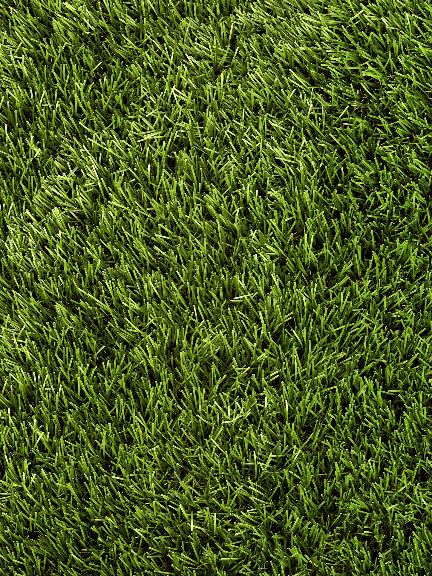 Rasen-Teppichboden, Green 5 Rasen-Teppichboden, Green – Bild 3