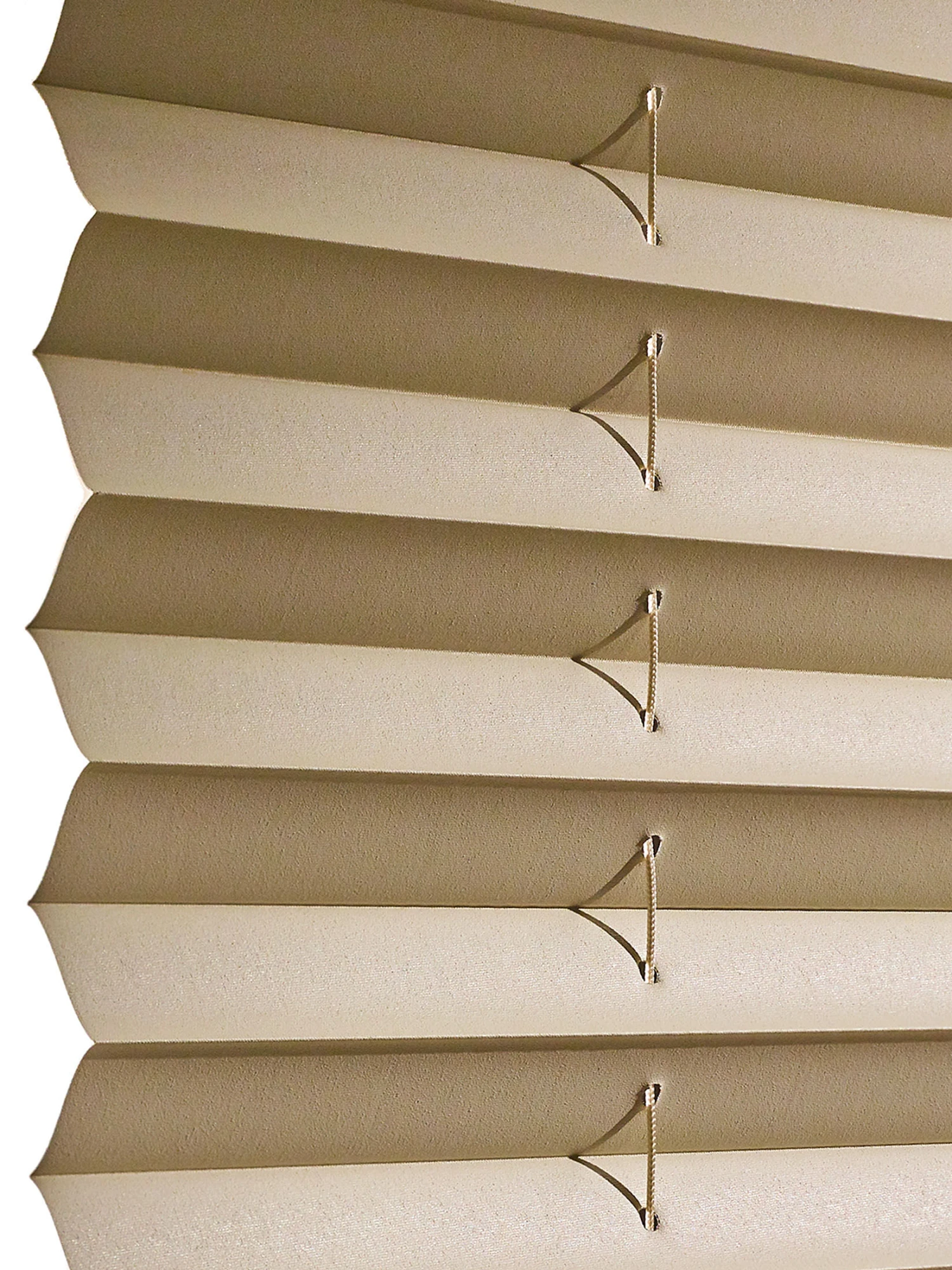 Plissee, Creme 5 Plissee, Creme – Bild 3