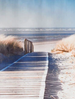 Rollo, Beach -Heimtextildekoration DigitalRollo Rollo beige Beach lup