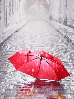 Rollo, Paris -Heimtextildekoration DigitalRollo Rollo rot Paris lup