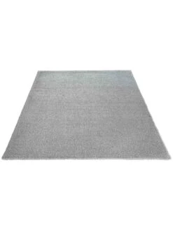 Hochflor-Teppich, Light Grey -Heimtextildekoration Fiesta HochflorTeppich Hellgrau LightGrey 160x230 fper