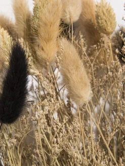 Trockenblume, Natural -Heimtextildekoration Flowerbouquet Trockenblume Dunkelbeige Natural 40 lup