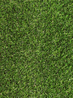 Rasen-Teppichboden, Grün -Heimtextildekoration Garden Kunstrasen Gruen lup1