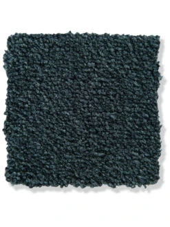 Velours-Teppichboden, Blautanne 692 5 Velours-Teppichboden, Blautanne 692 -Heimtextildekoration GreenLine VeloursTeppichboden Dunkelblau Blautanne 692 lup