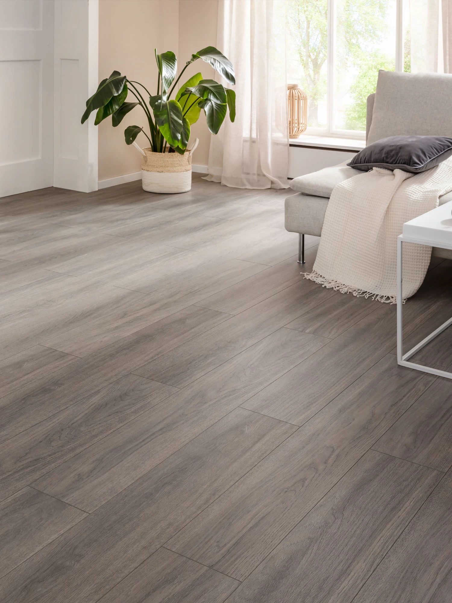 Klick-Laminat, Greige Oak 62255 3 Klick-Laminat, Greige Oak 62255