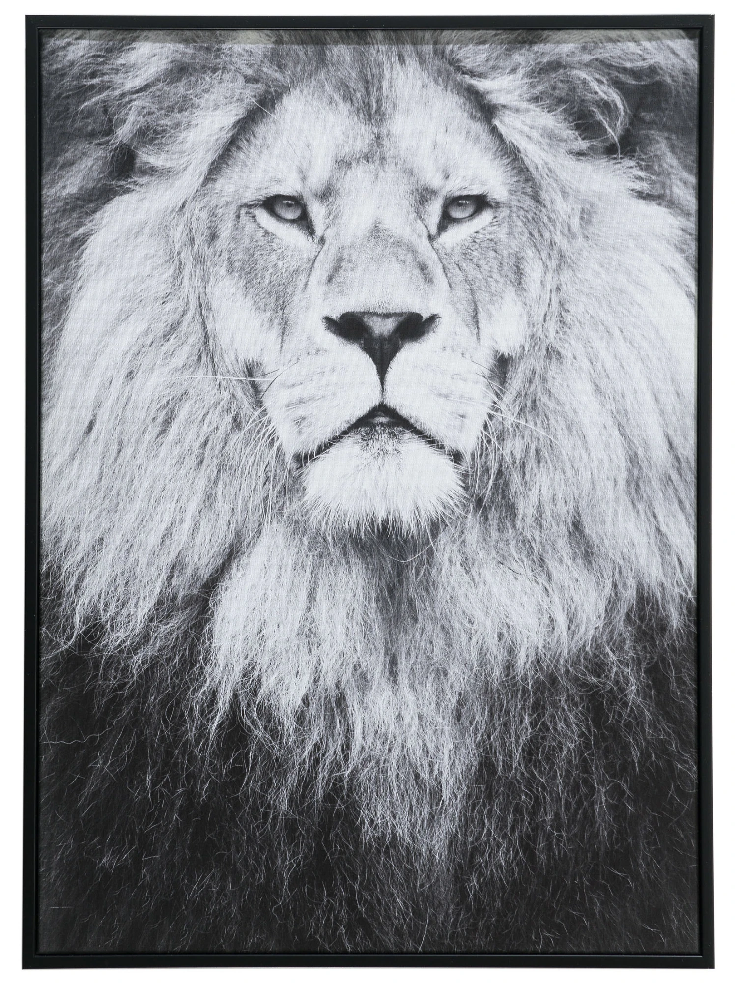 Leinwand-Druck-gerahmt, Schwarz/Grau 4 Leinwand-Druck-gerahmt, Schwarz/Grau – Bild 2