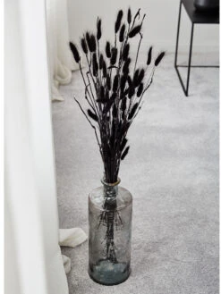 Trockenblume, Schwarz -Heimtextildekoration Lagurus Trockenblume Schwarz 75cm mil