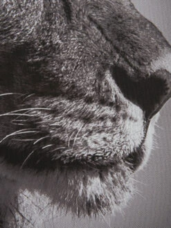 Leinwand-Druck-gerahmt, Dunkelgrau -Heimtextildekoration Lionhead Druckgerahmt Grau Dunkelgrau 50x70 lup