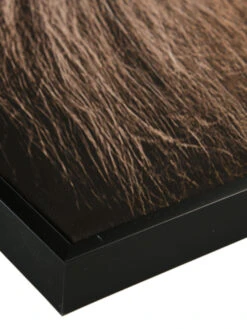 Leinwand-Druck-gerahmt, Braun -Heimtextildekoration Loewenkoenig Druckgerahmt Braun 50x70 lup2