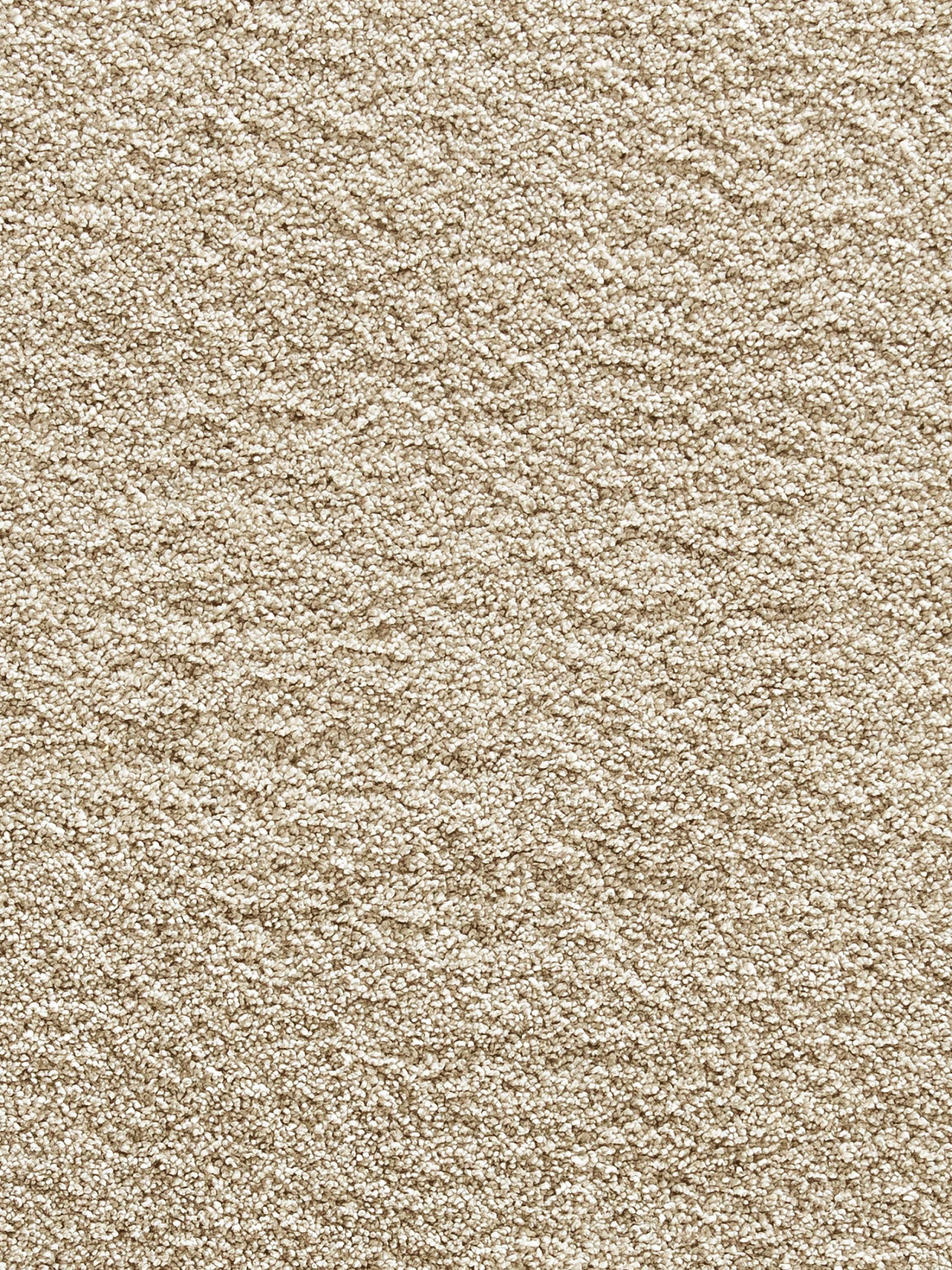 Hochflor-Teppich, Hellbeige 6 Hochflor-Teppich, Hellbeige – Bild 4