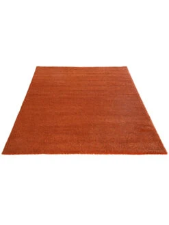Hochflor-Teppich, Terra -Heimtextildekoration Marten Hochflorteppich Terracotta Terra 160x230 fper