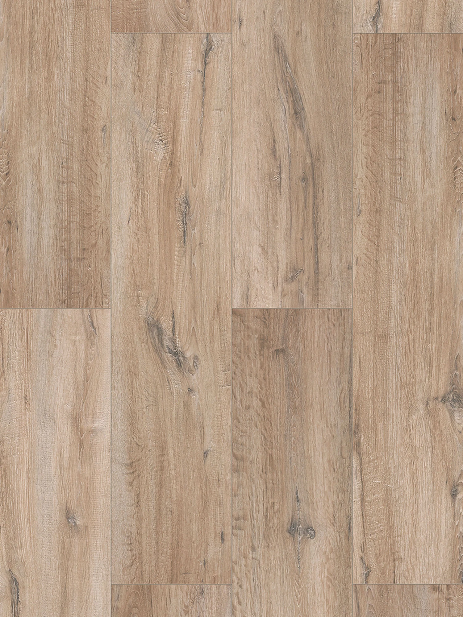 Klick-Laminat, Bright Living Oak 62269 5 Klick-Laminat, Bright Living Oak 62269 – Bild 3