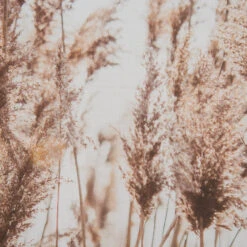 Leinwand-Druck-gerahmt, Dunkelbeige -Heimtextildekoration Parat Druckgerahmt Beige Dunkelbeige 52x72 lup