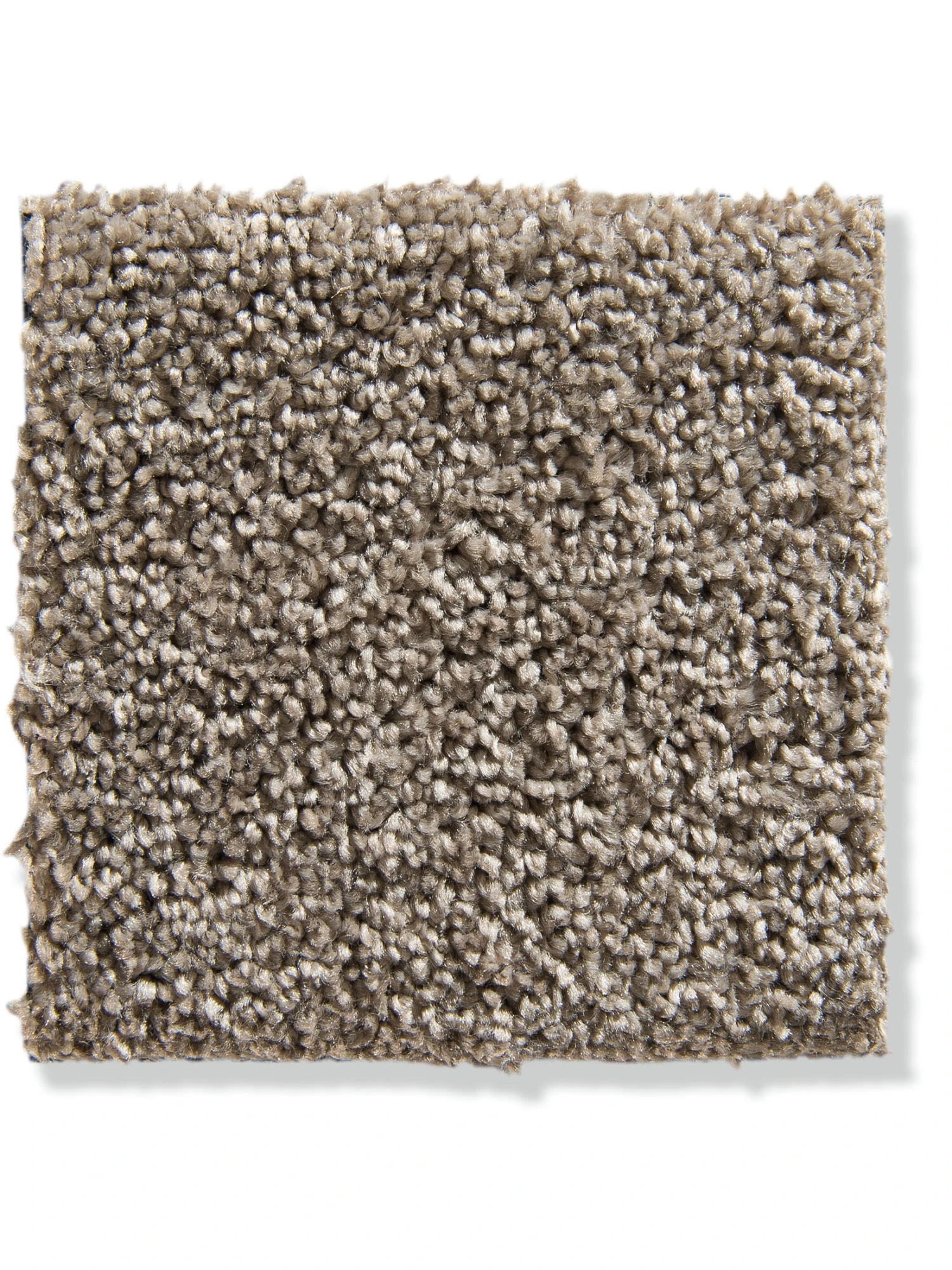 Velours-Teppichboden, Cappuccino 4 Velours-Teppichboden, Cappuccino – Bild 2