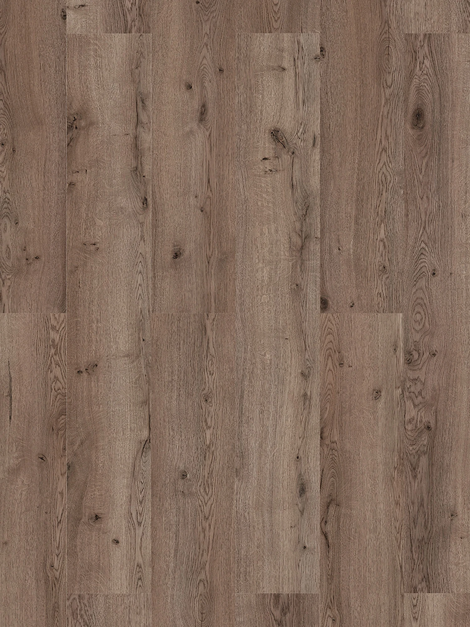 Klick-Laminat, Wildeiche 62259 5 Klick-Laminat, Wildeiche 62259 – Bild 3