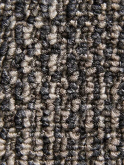 Teppichbodenfliese, Graubeige 6 Teppichbodenfliese, Graubeige -Heimtextildekoration Quantum Teppichbodenfliese Beige Graubeige685 lup2