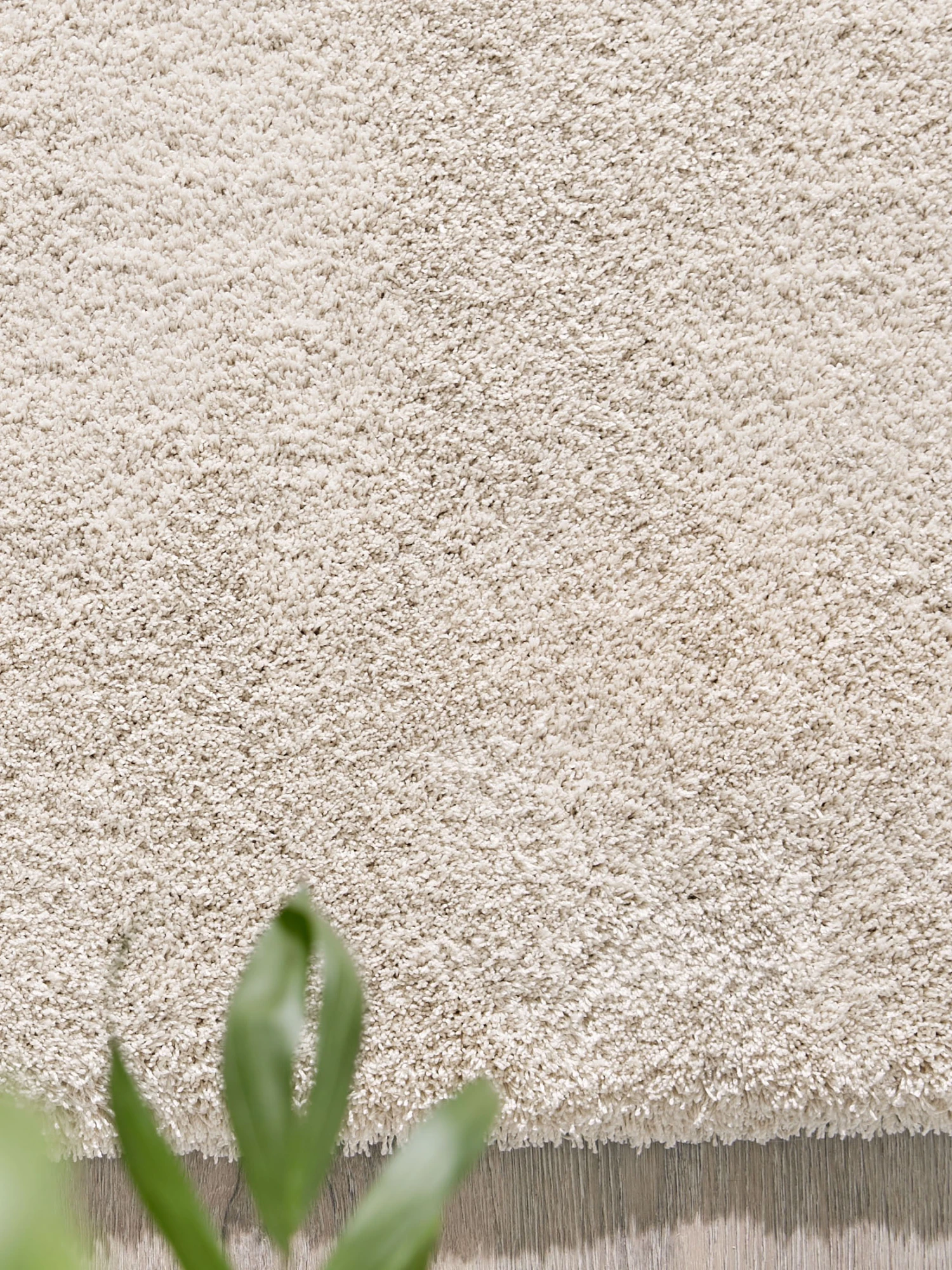 Hochflor-Teppich, Cream 4 Hochflor-Teppich, Cream – Bild 2