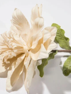 Kunstblume, Hellbeige -Heimtextildekoration Softflower Kunstblume Creme Hellbeige 10x112 lup