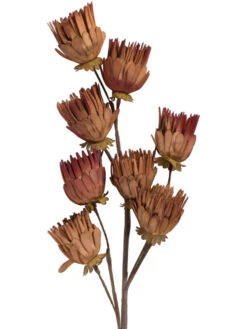 Kunstblume, Orange -Heimtextildekoration Softflower Kunstblume Terra Orange 103 pla2