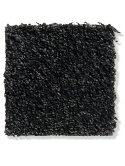 Velours-Teppichboden, Anthrazit 99 6 Velours-Teppichboden, Anthrazit 99 -Heimtextildekoration Symphonie VeloursTeppichboden schwarz anthrazit99 lup2