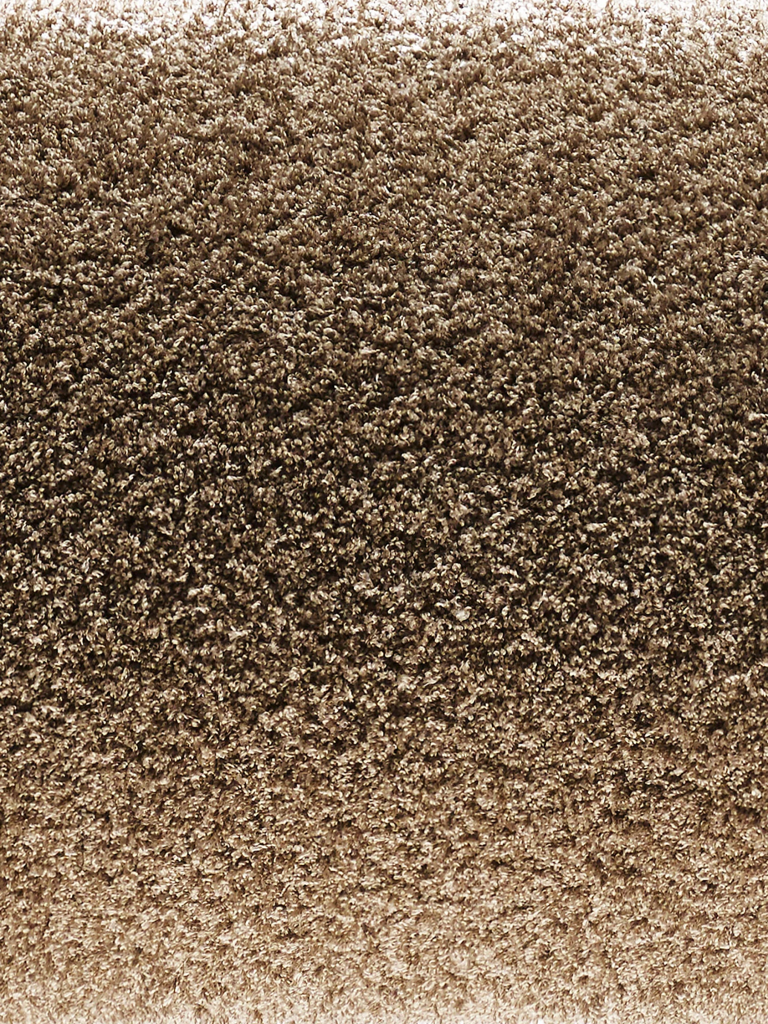 Hochflor-Teppich, Cappuccino 4 Hochflor-Teppich, Cappuccino – Bild 2