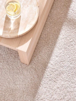 Langflor-Teppichboden, Creme 60 -Heimtextildekoration Trepito LangflorTeppichboden Creme Creme60 mil3