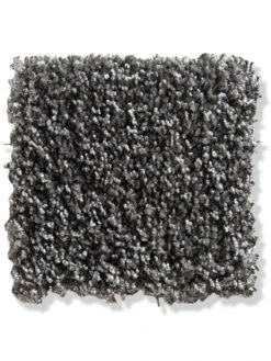 Langflor-Teppichboden, Schiefer 77 5 Langflor-Teppichboden, Schiefer 77 -Heimtextildekoration Trepito LangflorTeppichboden Grau Schiefer77 10x10 lup