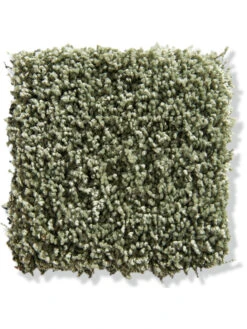 Langflor-Teppichboden, Olive 44 -Heimtextildekoration Trepito LangflorTeppichboden Gruen Olive44 10x10 lup