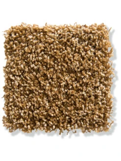 Langflor-Teppichboden, Kupfer 20 -Heimtextildekoration Trepito LangflorTeppichboden Terra Kupfer20 10x10 lup